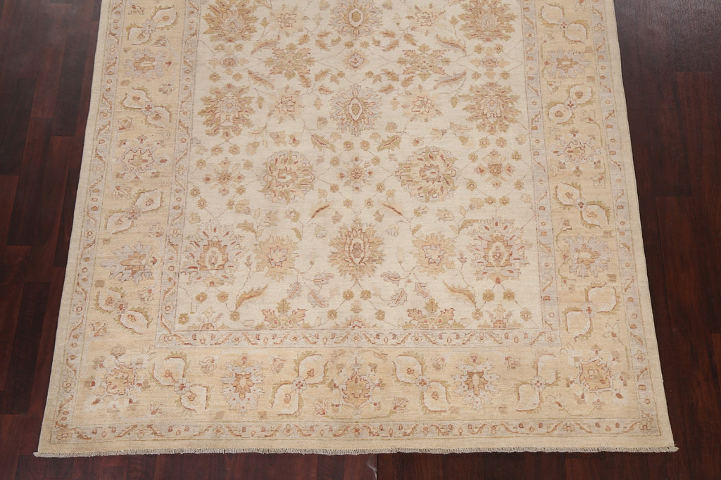 Vegetable Dye Chobi Peshawar Handmade Area Rug 6x9