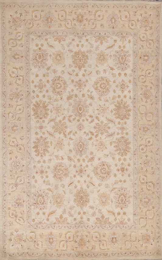 Vegetable Dye Chobi Peshawar Handmade Area Rug 6x9