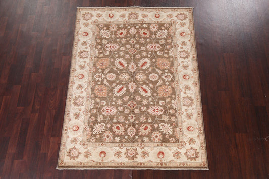 Vegetable Dye Chobi Peshawar Wool Handmade Rug 3x5