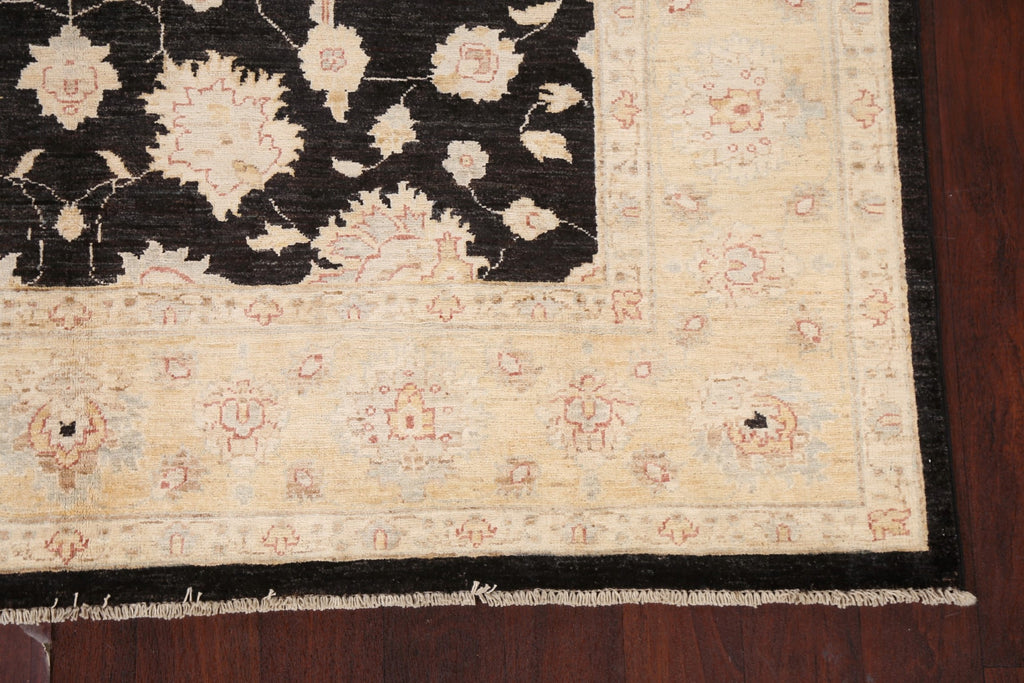 Vegetable Dye Chobi Peshawar Black Area Rug 6x9