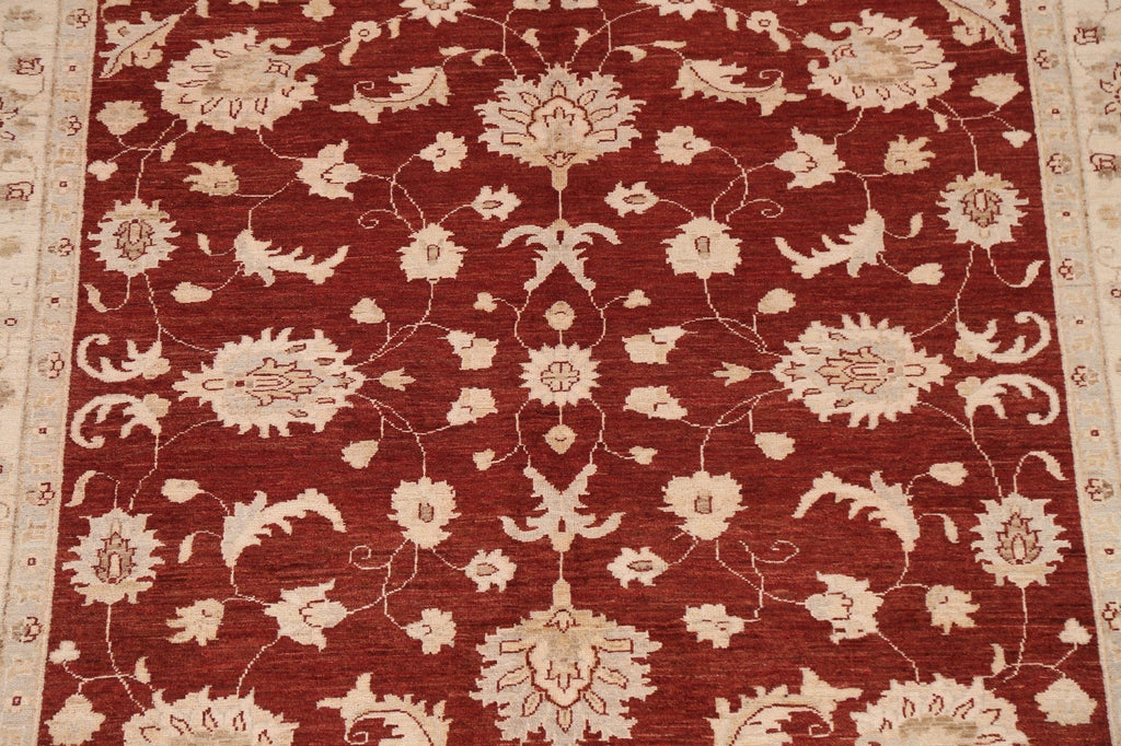 Vegetable Dye Chobi Peshawar Oriental Area Rug 6x9