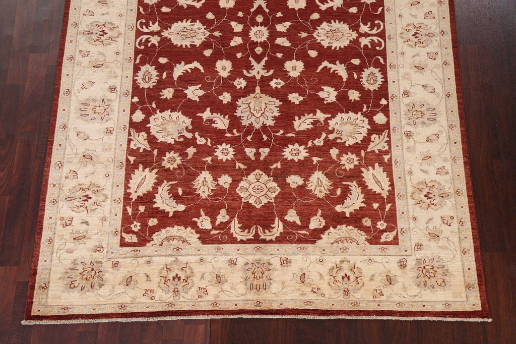 Vegetable Dye Chobi Peshawar Oriental Area Rug 6x9