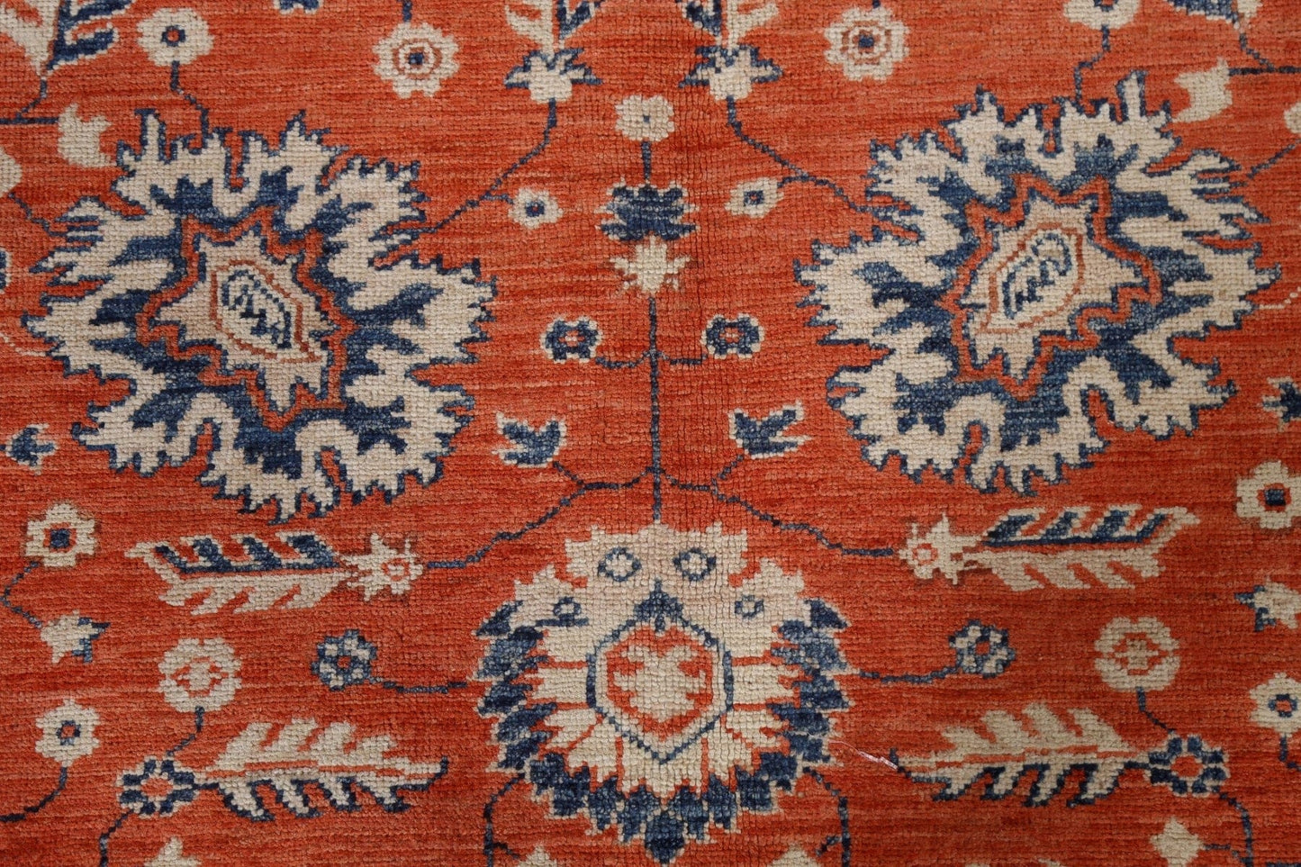 Vegetable Dye Ziegler Turkish Area Rug 9x12