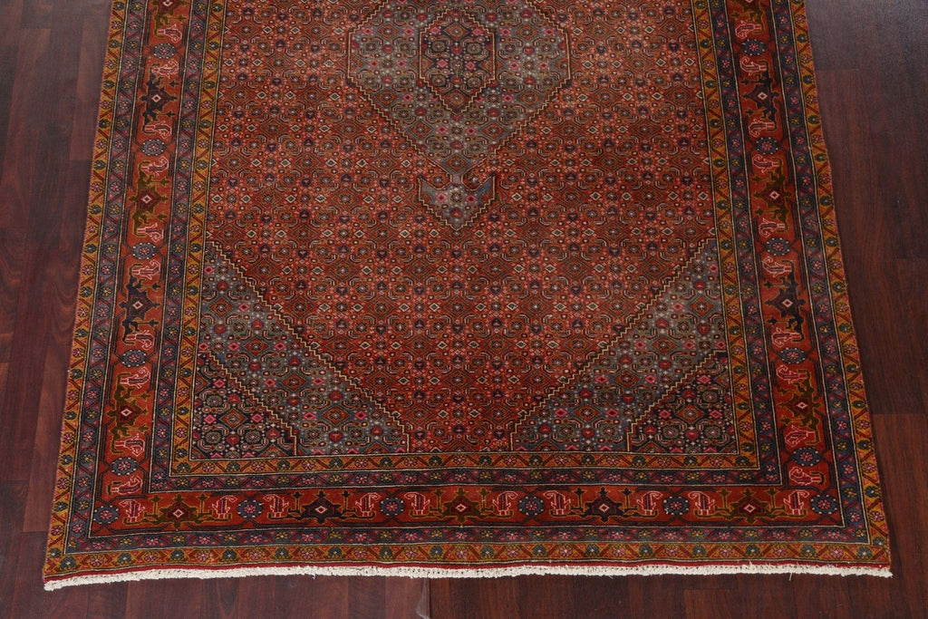 Geometric Ardebil Persian Area Rug 6x10