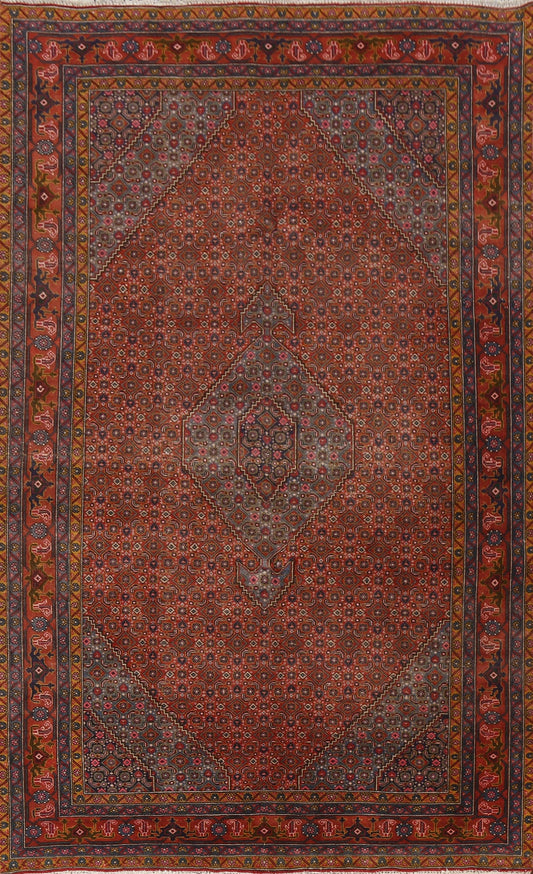 Geometric Ardebil Persian Area Rug 6x10