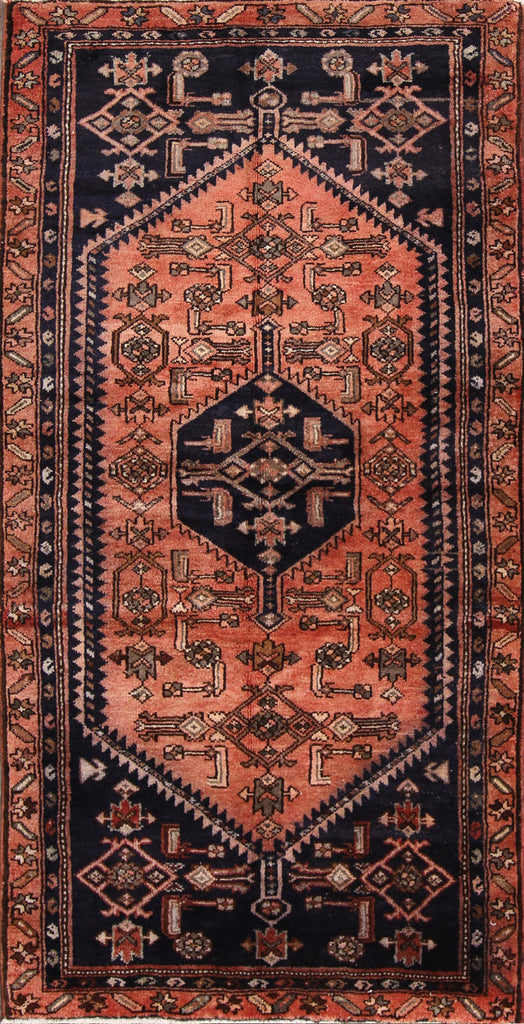 4x7 Hamadan Persian Area Rug