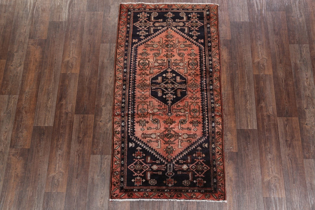 4x7 Hamadan Persian Area Rug