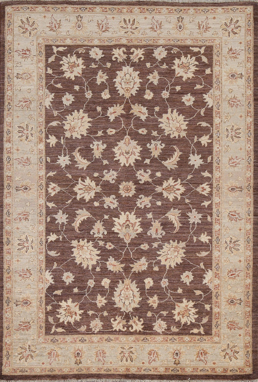 Vegetable Dye Chobi Peshawar Oriental Area Rug 4x6