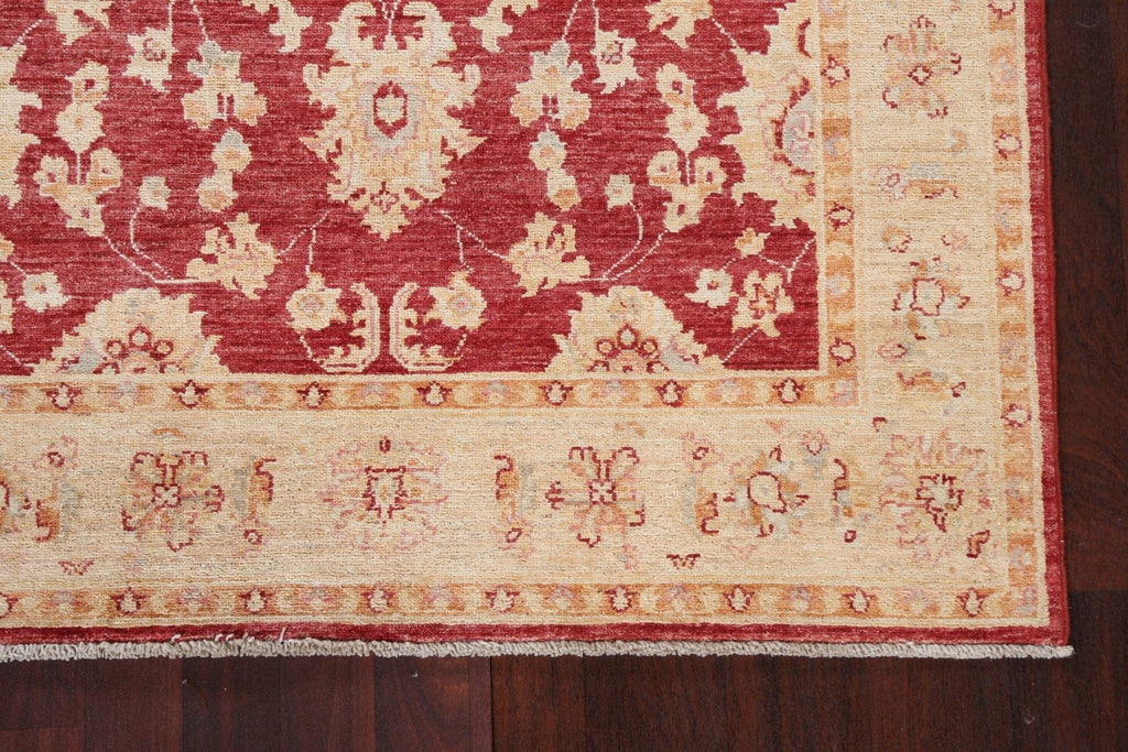 Vegetable Dye Chobi Peshawar Oriental Area Rug 4x6