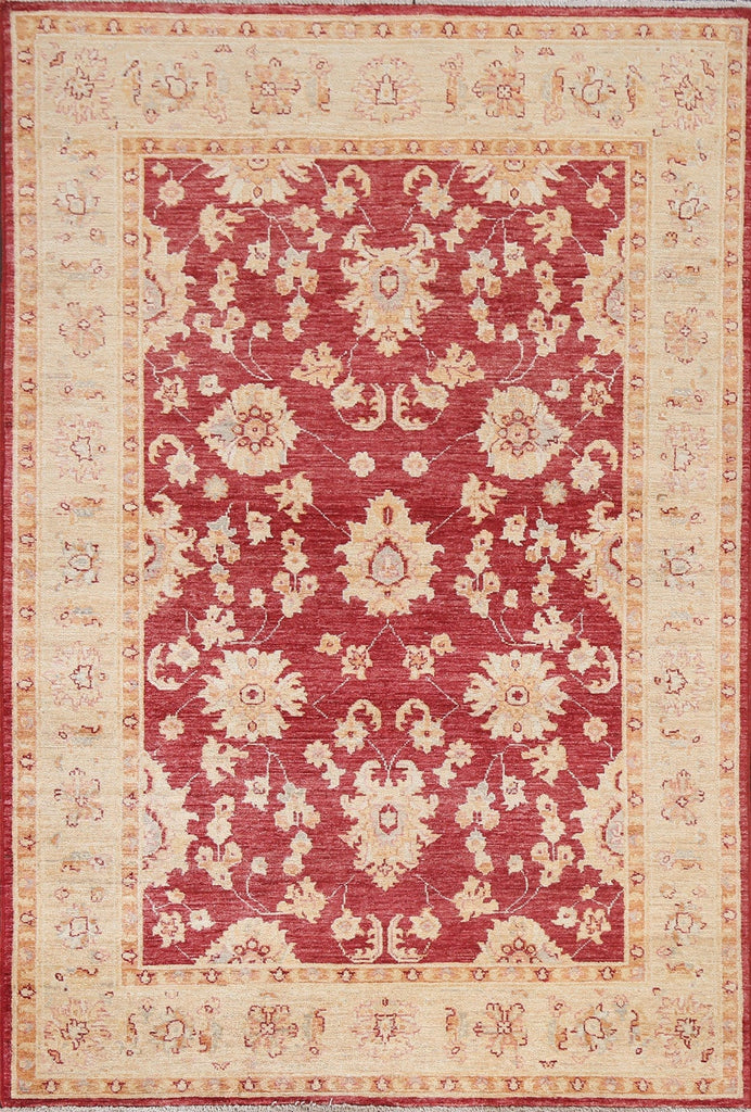 Vegetable Dye Chobi Peshawar Oriental Area Rug 4x6