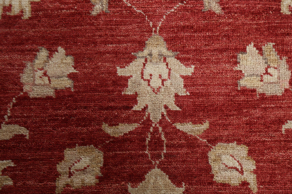 Vegetable Dye Chobi Peshawar Oriental Area Rug 4x5