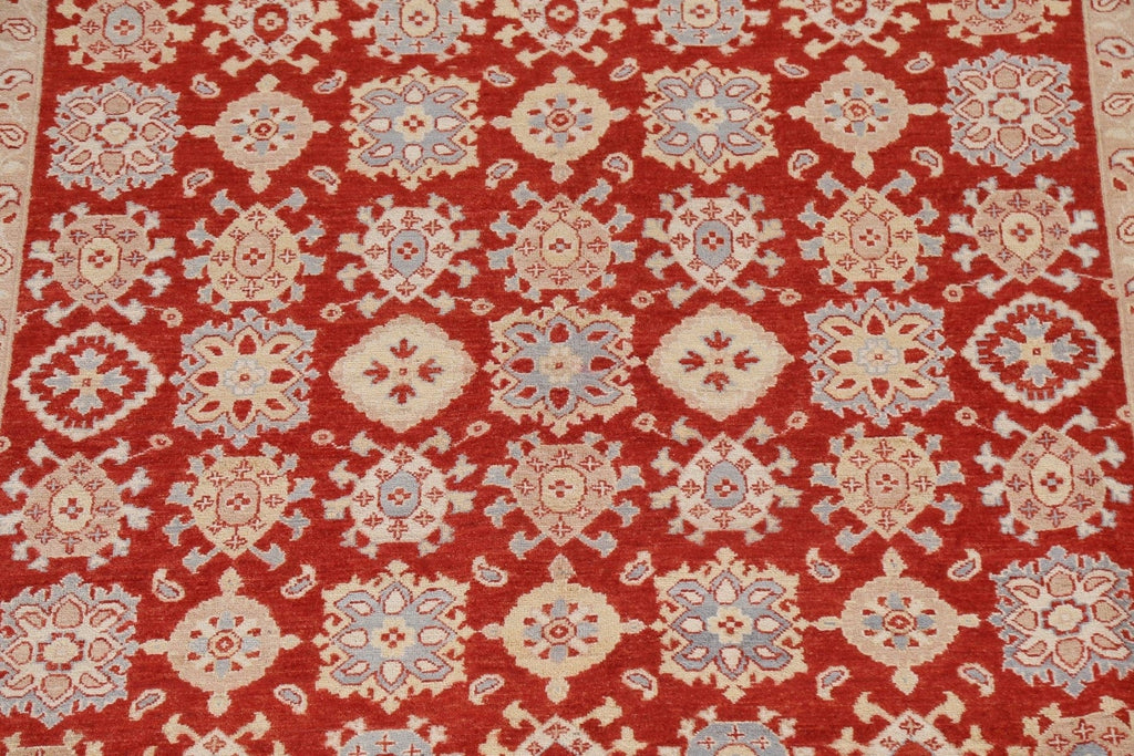 Vegetable Dye Red Ziegler Oriental Area Rug 8x10