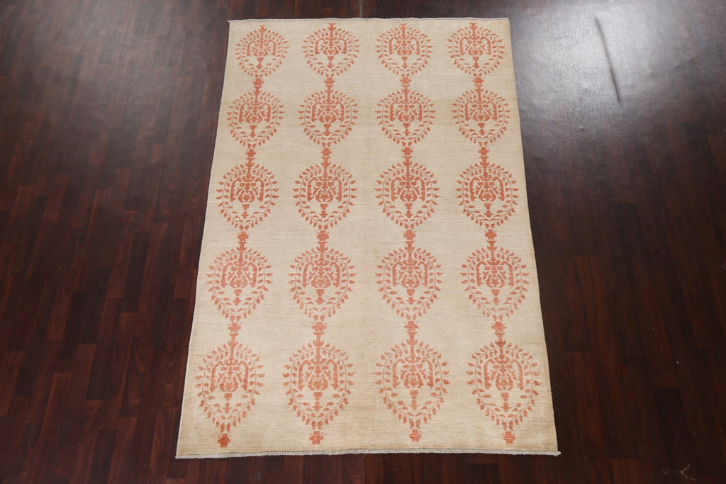 Vegetable Dye Chobi Peshawar Oriental Area Rug 6x9