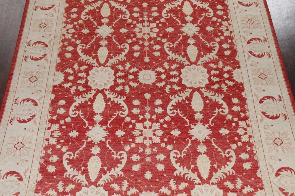 Vegetable Dye Chobi Peshawar Wool Oriental Rug 9x11