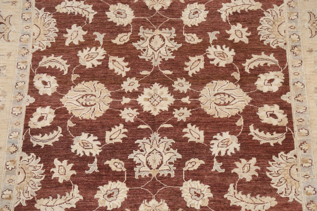 Vegetable Dye Chobi Peshawar Oriental Rug 6x8