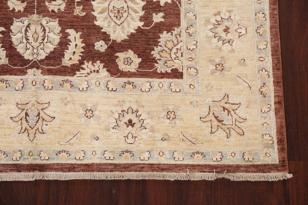 Vegetable Dye Chobi Peshawar Oriental Rug 6x8