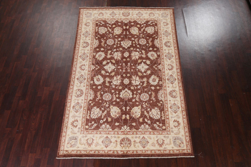 Vegetable Dye Chobi Peshawar Handmade Rug 6x9