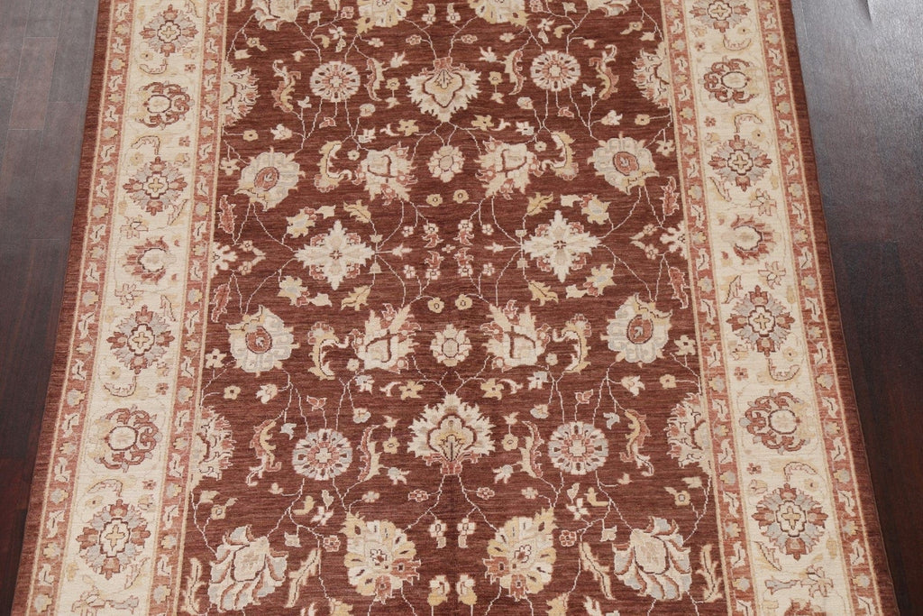 Vegetable Dye Chobi Peshawar Handmade Rug 6x9