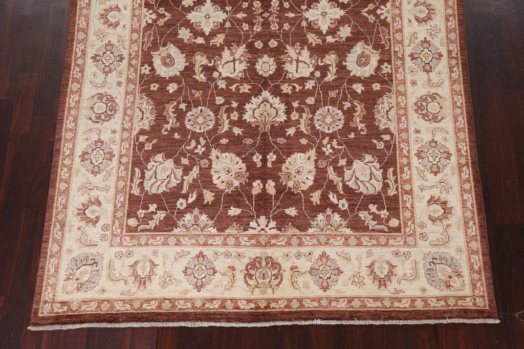 Vegetable Dye Chobi Peshawar Handmade Rug 6x9