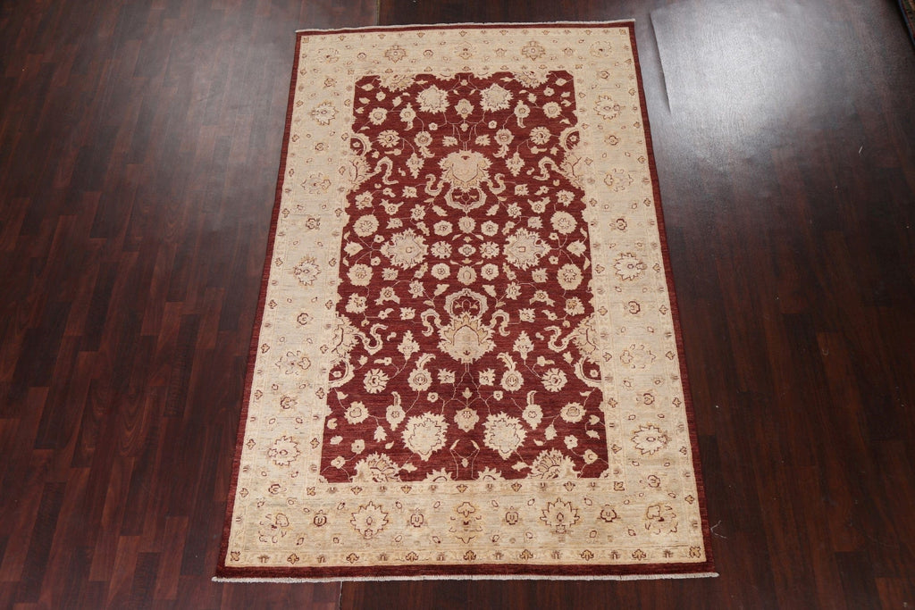 Vegetable Dye Chobi Peshawar Oriental Rug 6x9