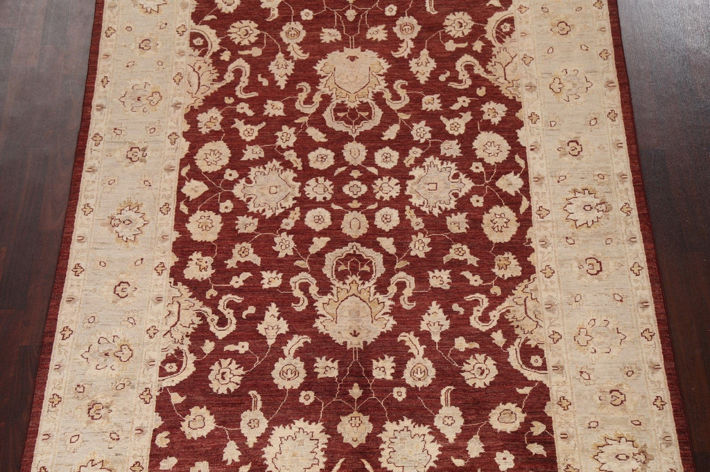 Vegetable Dye Chobi Peshawar Oriental Rug 6x9