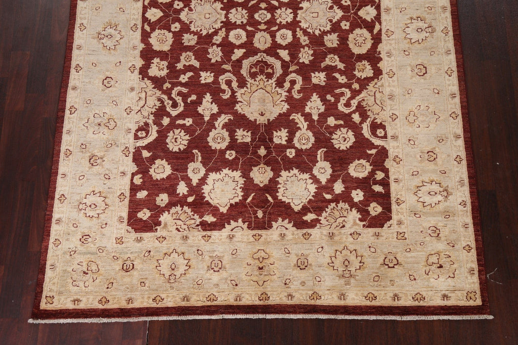 Vegetable Dye Chobi Peshawar Oriental Rug 6x9