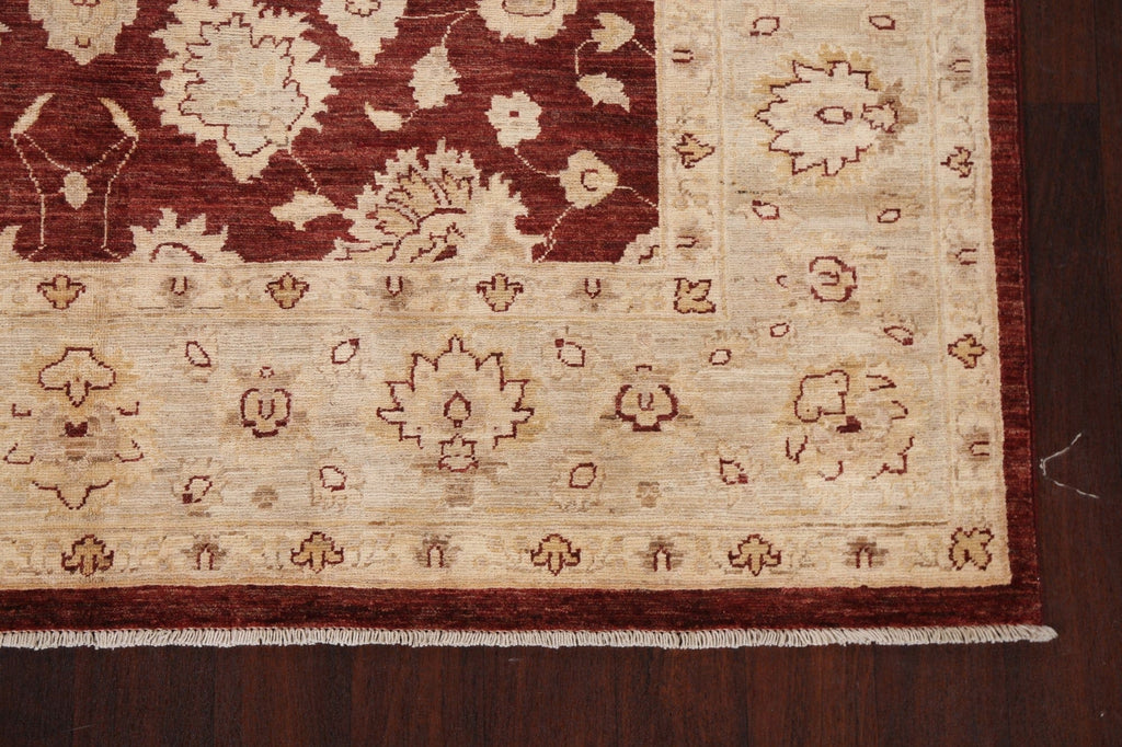 Vegetable Dye Chobi Peshawar Oriental Rug 6x9