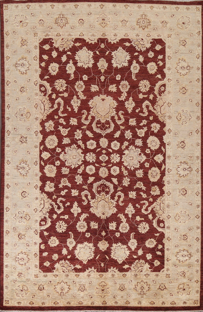 Vegetable Dye Chobi Peshawar Oriental Rug 6x9