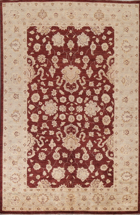 Vegetable Dye Chobi Peshawar Oriental Rug 6x9