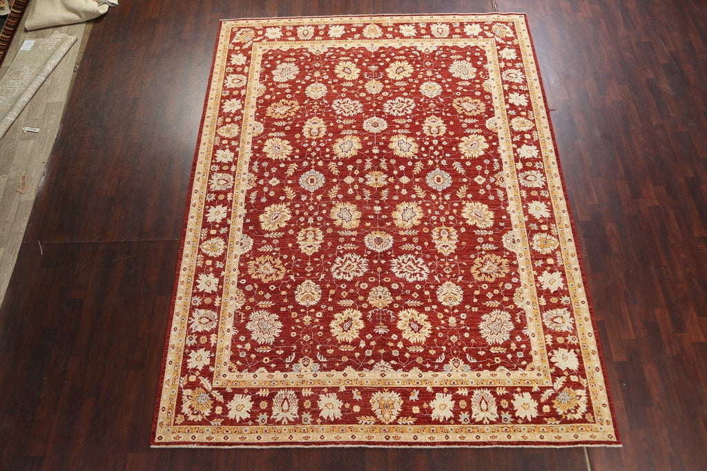 Vegetable Dye Red Chobi Peshawar Oriental Rug 9x12