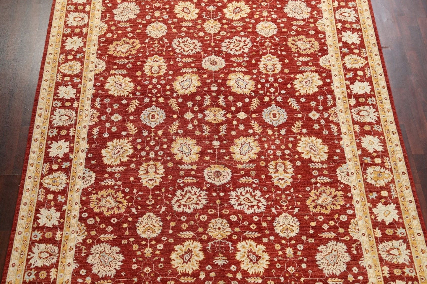 Vegetable Dye Red Chobi Peshawar Oriental Rug 9x12