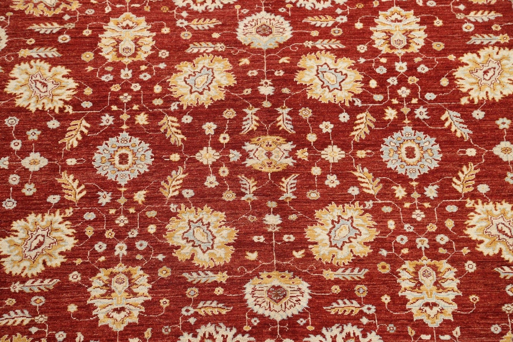 Vegetable Dye Red Chobi Peshawar Oriental Rug 9x12