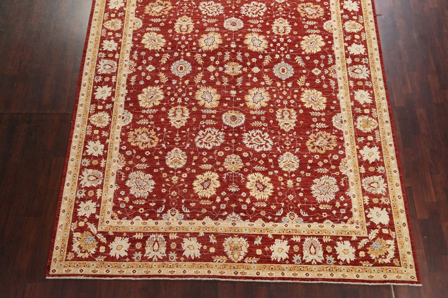 Vegetable Dye Red Chobi Peshawar Oriental Rug 9x12