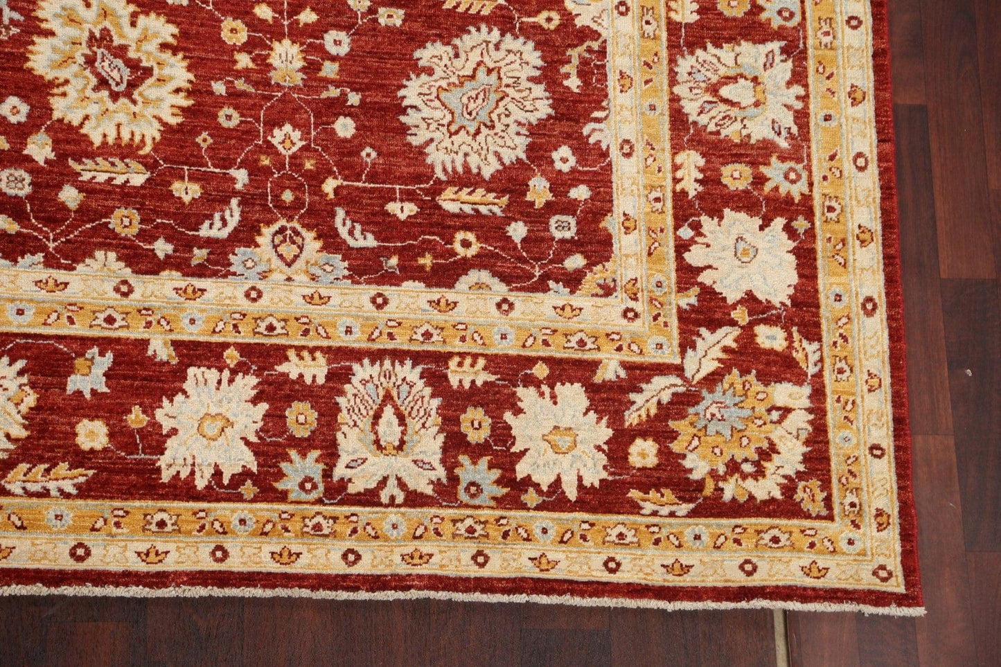 Vegetable Dye Red Chobi Peshawar Oriental Rug 9x12