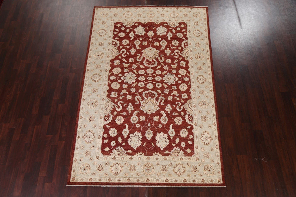 Vegetable Dye Chobi Peshawar Oriental Area Rug 6x9