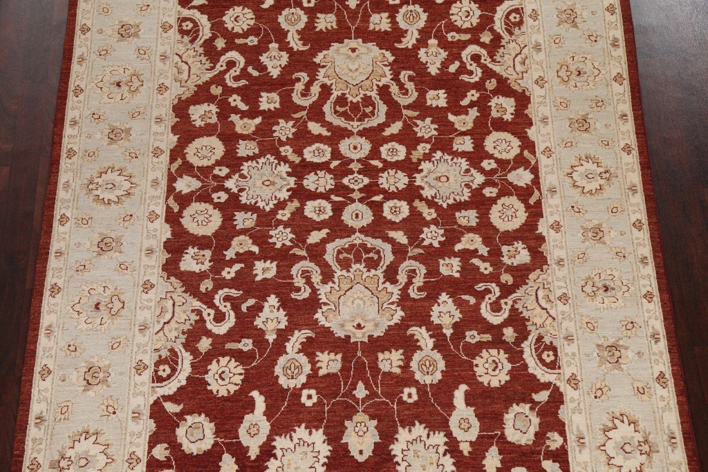 Vegetable Dye Chobi Peshawar Oriental Area Rug 6x9