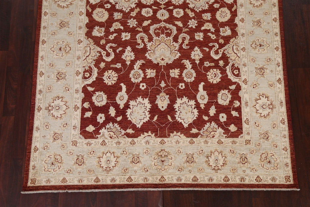 Vegetable Dye Chobi Peshawar Oriental Area Rug 6x9