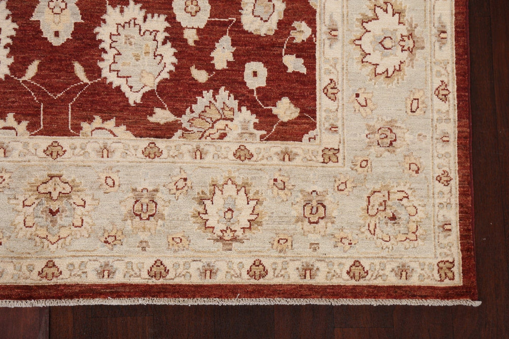 Vegetable Dye Chobi Peshawar Oriental Area Rug 6x9