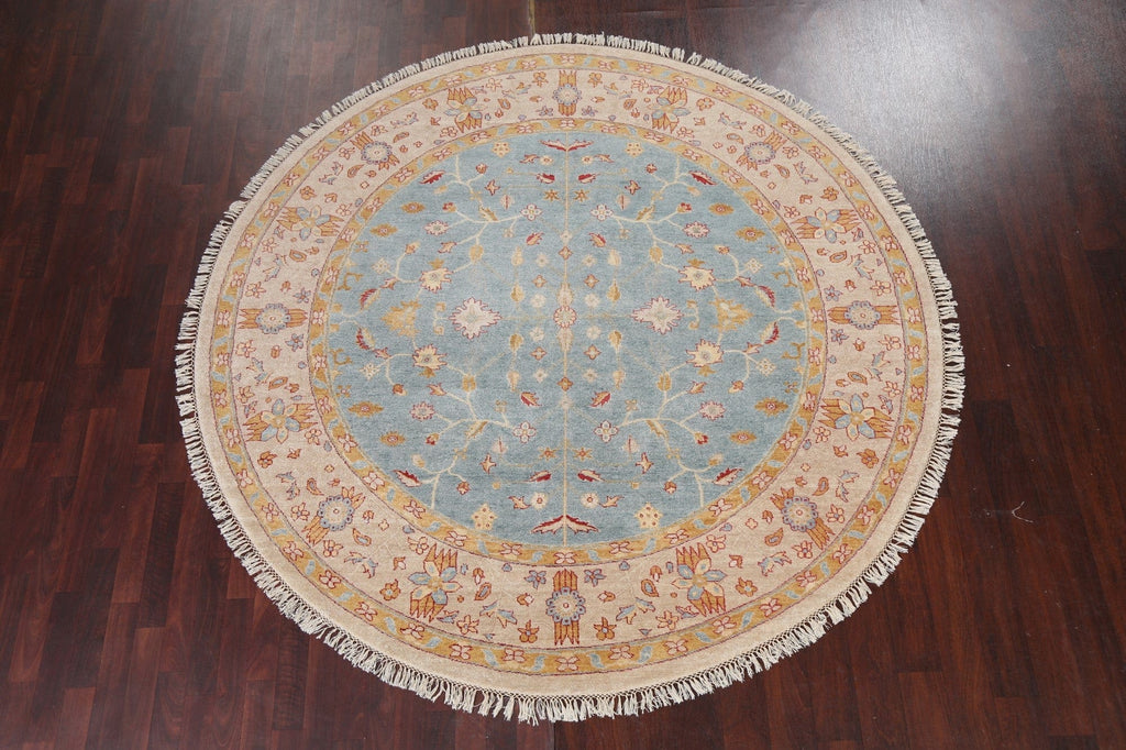 Vegetable Dye Agra Oriental Area Rug 8x8