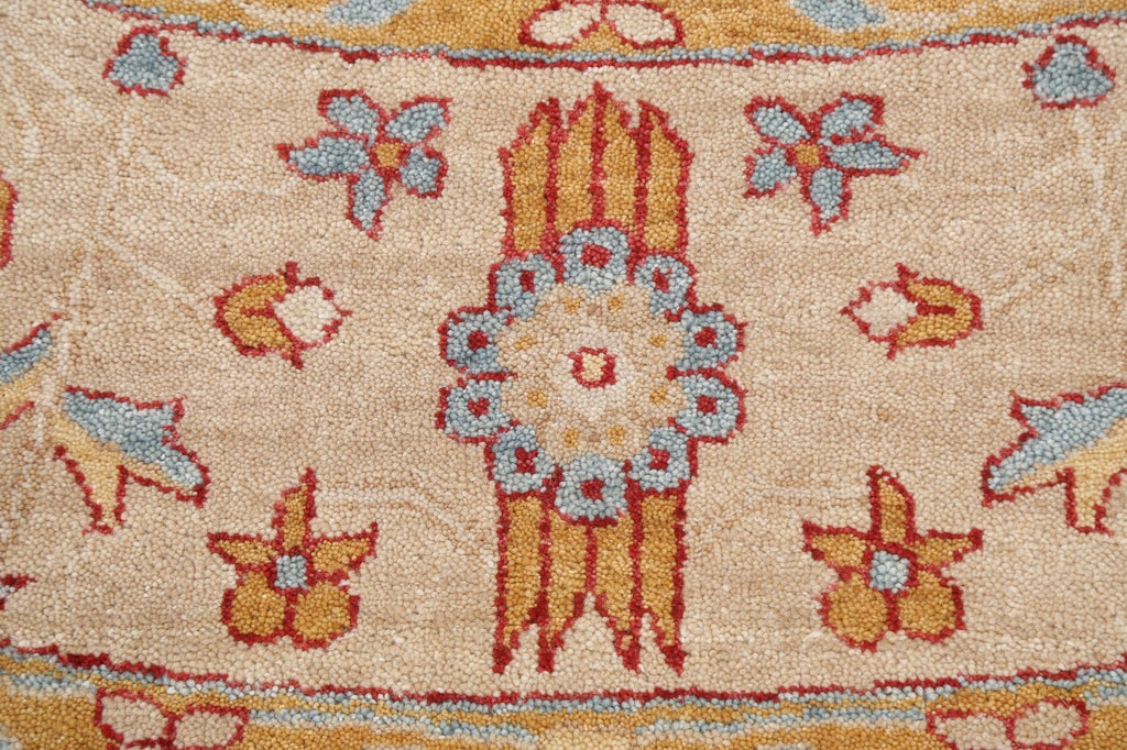 Vegetable Dye Agra Oriental Area Rug 8x8