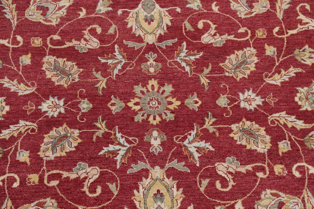 Red Floral Agra Oriental Wool Rug 8x10