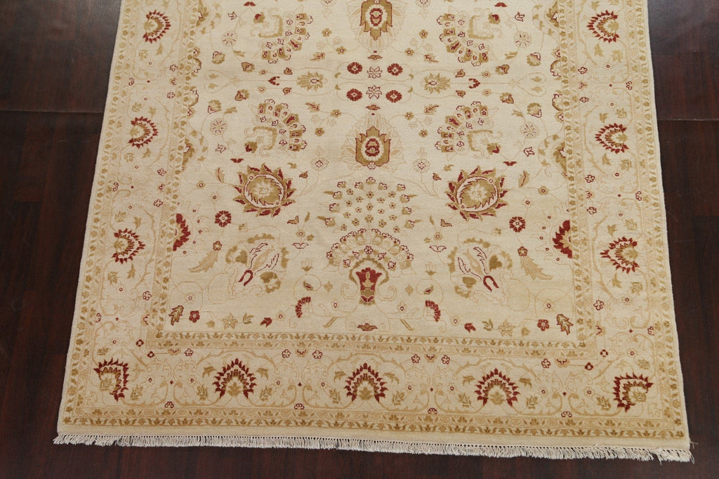 Floral Wool Chobi Peshawar Oriental Area Rug 8x11