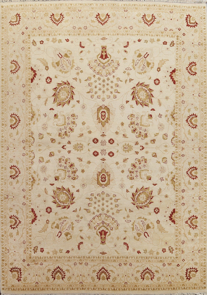 Floral Wool Chobi Peshawar Oriental Area Rug 8x11