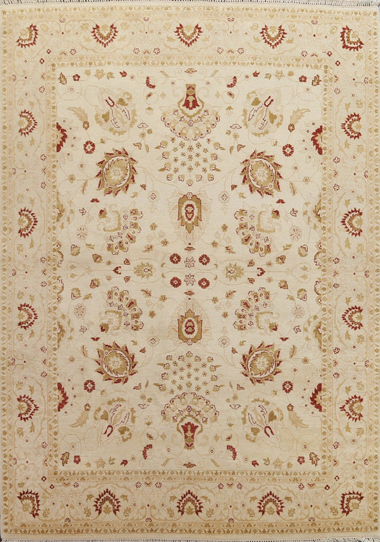 Floral Wool Chobi Peshawar Oriental Area Rug 8x11