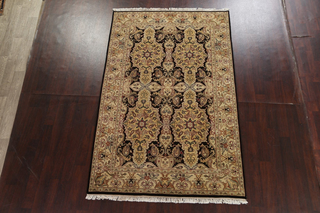 Black Wool Handmade Agra Oriental Rug 6x9