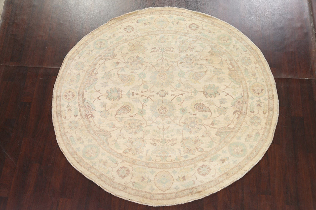 Vegetable Dye Chobi Peshawar Oriental Round Rug 8x8