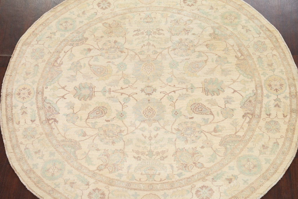 Vegetable Dye Chobi Peshawar Oriental Round Rug 8x8