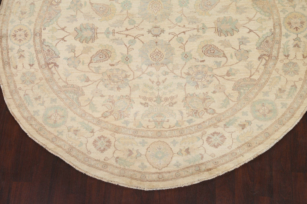 Vegetable Dye Chobi Peshawar Oriental Round Rug 8x8