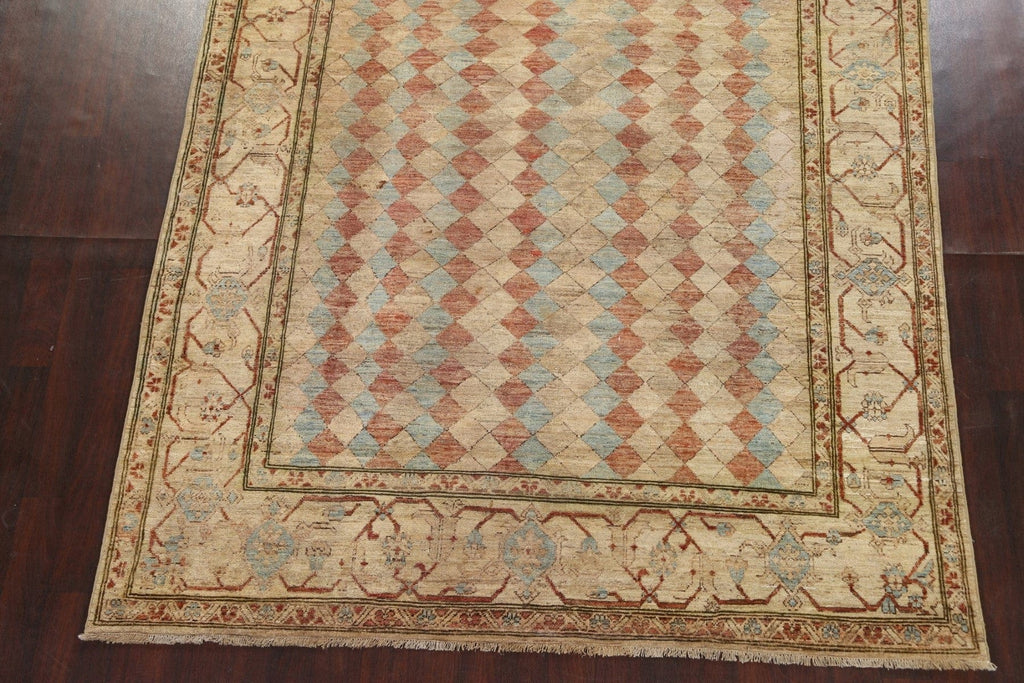 Vegetable Dye Chobi Peshawar Oriental Handmade Rug 8x9