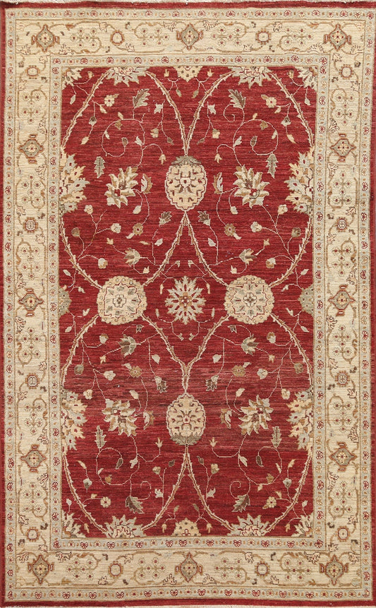 Vegetable Dye Red Chobi Peshawar Oriental Wool Rug 6x10